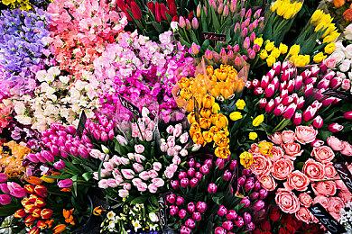 《战锤40K：暗潮》测试版进度可继承至正式游戏